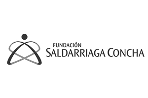 Web Fundación Saldarriaga Concha
